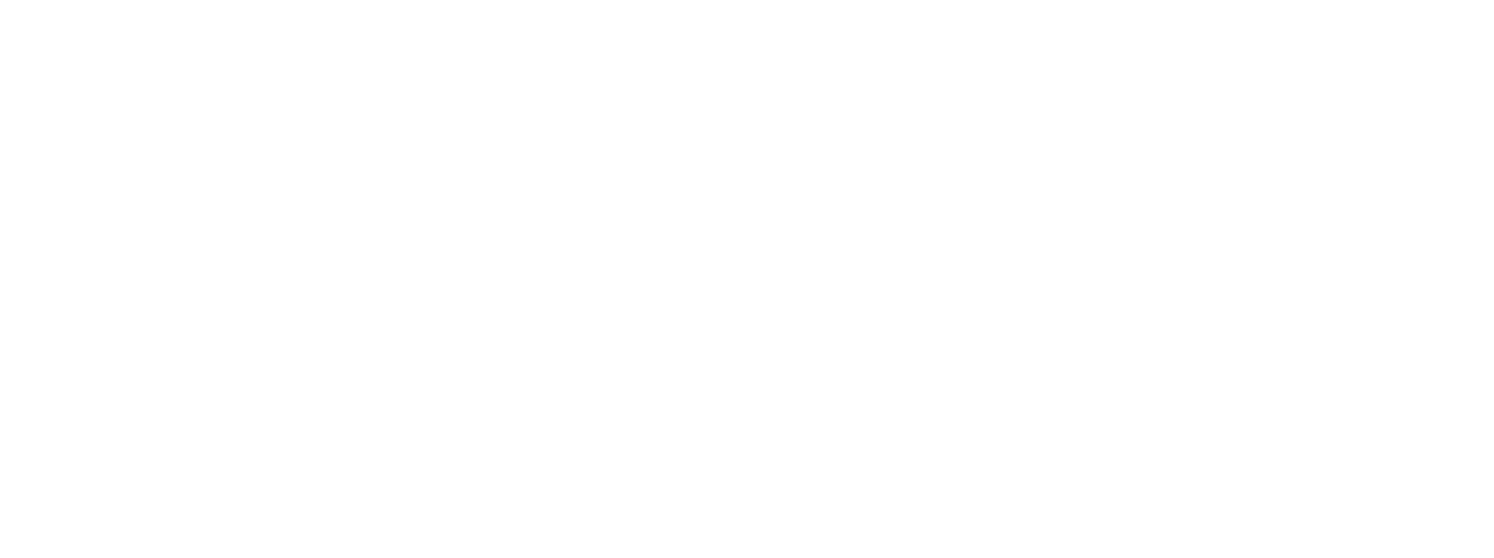 logo completo